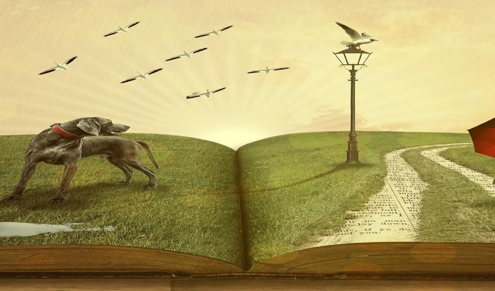 book-g394f2e668_1920
