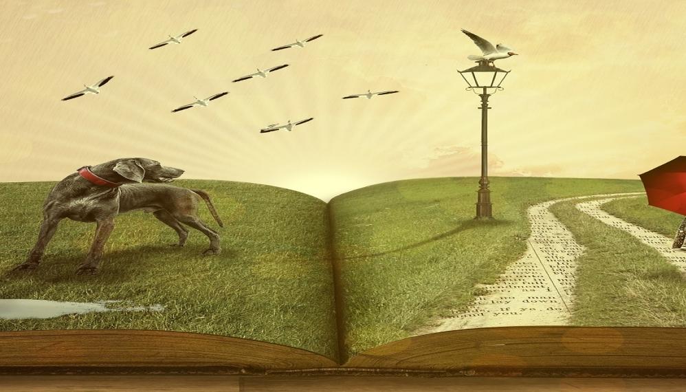 book-g394f2e668_1920