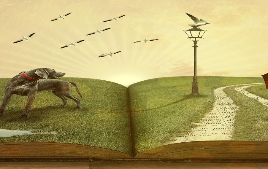book-g394f2e668_1920